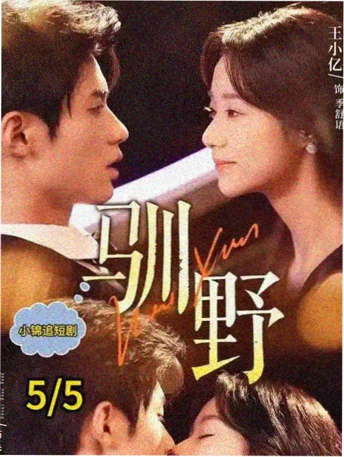 声音设计入门片单手账卡